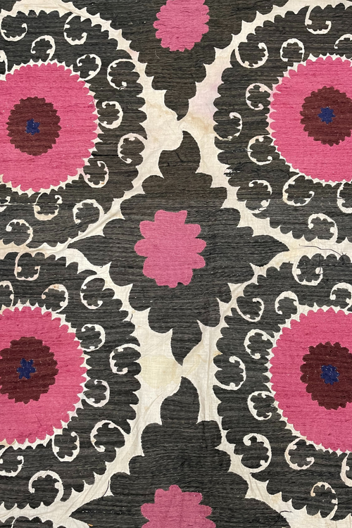 Diseño sin título – 2024-02-08T142204.422