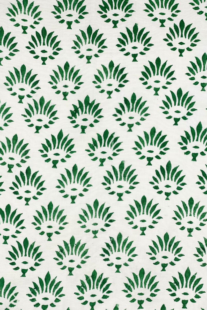 Diseño sin título – 2024-02-19T122547.670