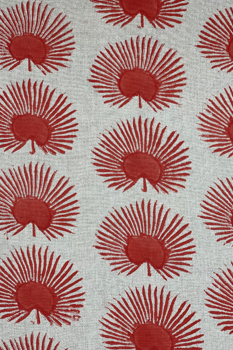 Diseño sin título – 2024-02-19T123536.015