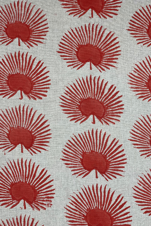 Diseño sin título – 2024-02-19T123536.015