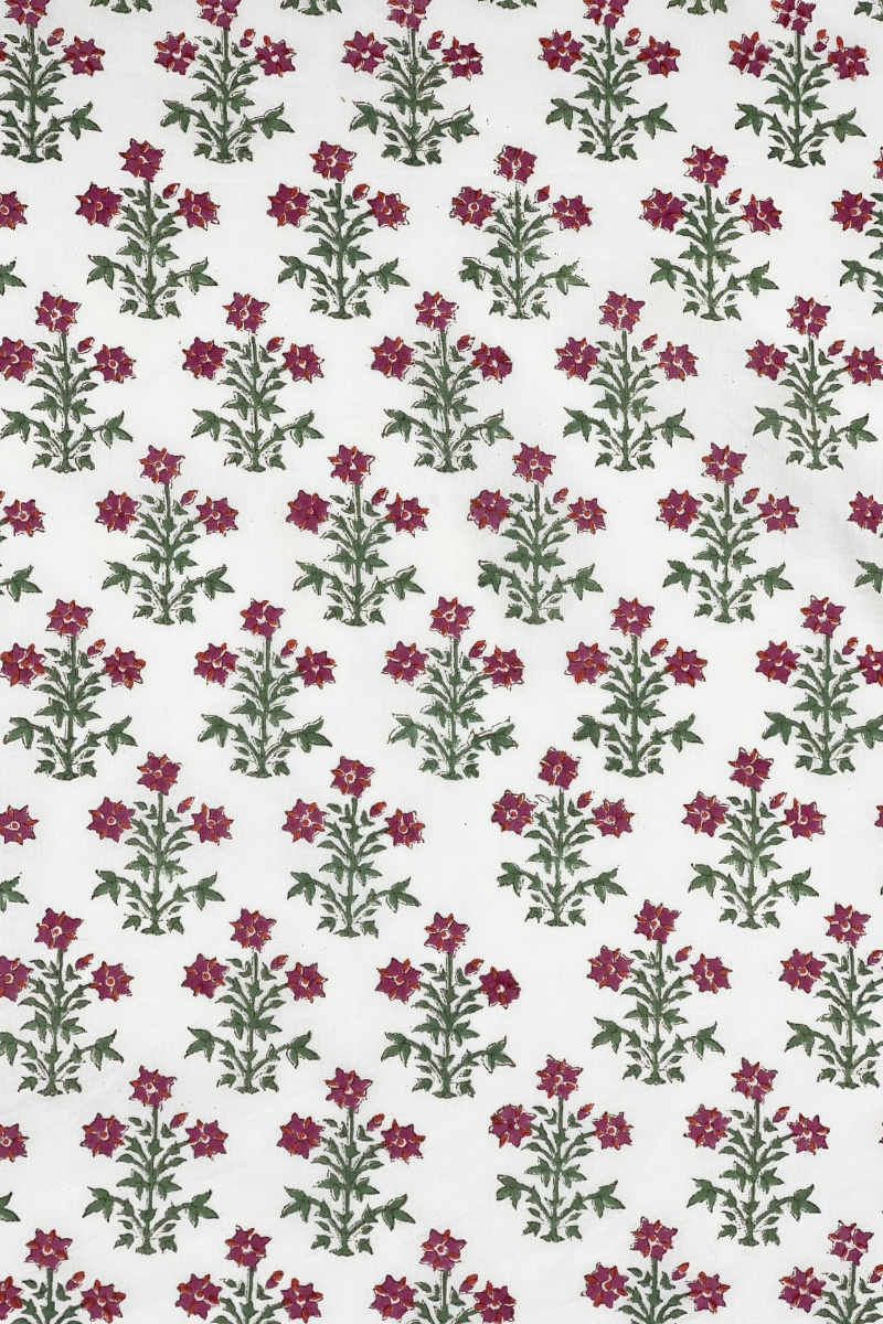 Diseño sin título – 2024-02-20T103036.401