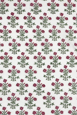 Diseño sin título – 2024-02-20T103036.401