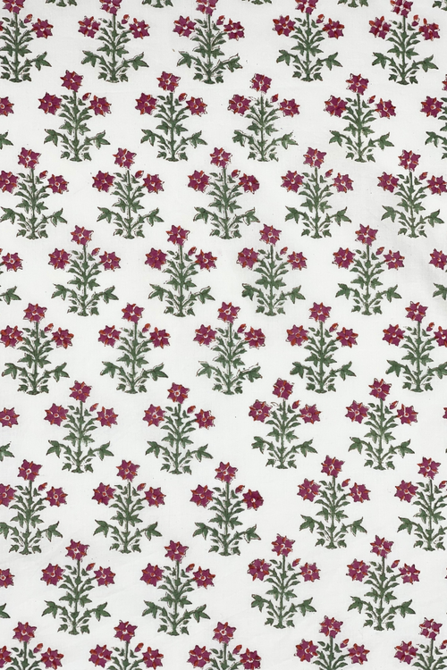 Diseño sin título – 2024-02-20T103036.401