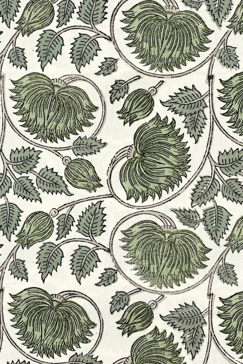 Diseño sin título – 2024-02-21T095037.248