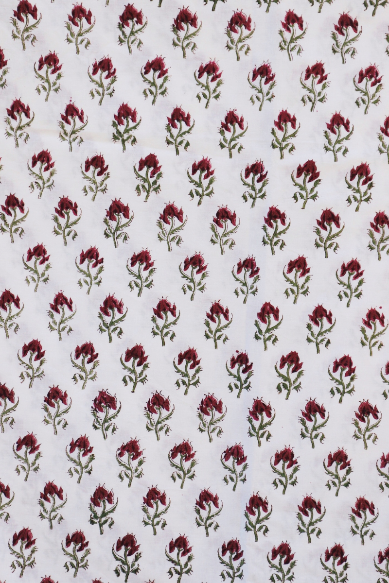 Diseño sin título – 2024-02-21T121636.637