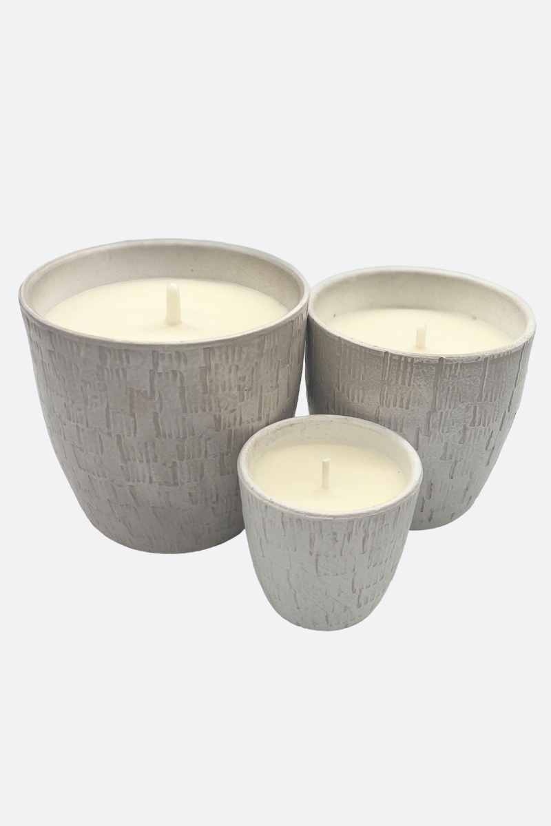 Diseño sin título – 2024-03-08T115655.458