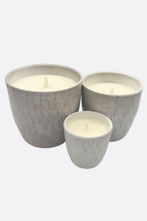 Diseño sin título – 2024-03-08T115655.458