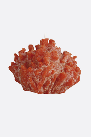 Diseño sin título – 2024-03-14T125010.672