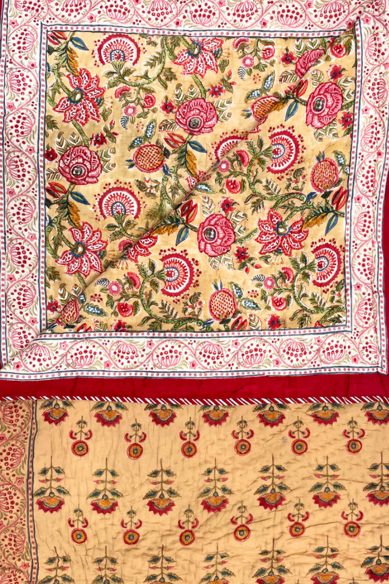 Diseño sin título – 2024-05-06T091925.255