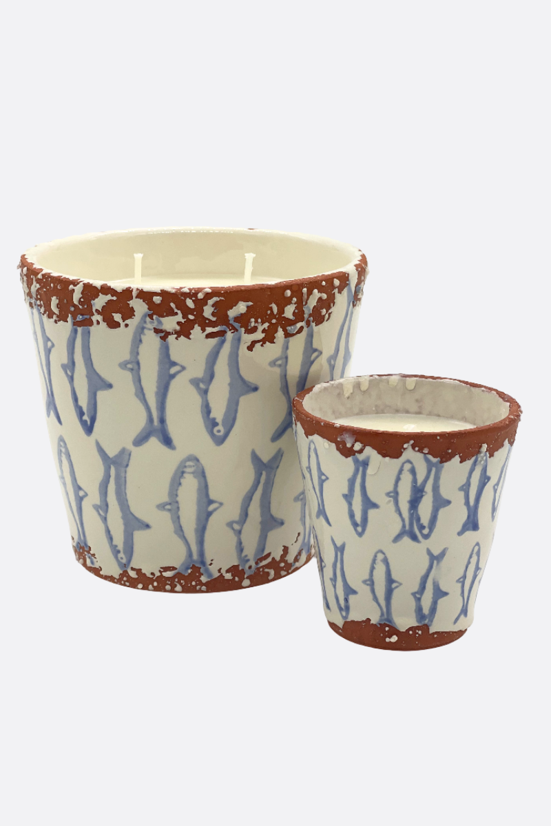 Diseño sin título – 2024-06-14T115919.378