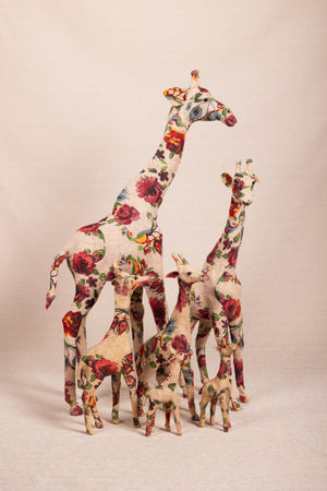 Giraffe Figure Colors