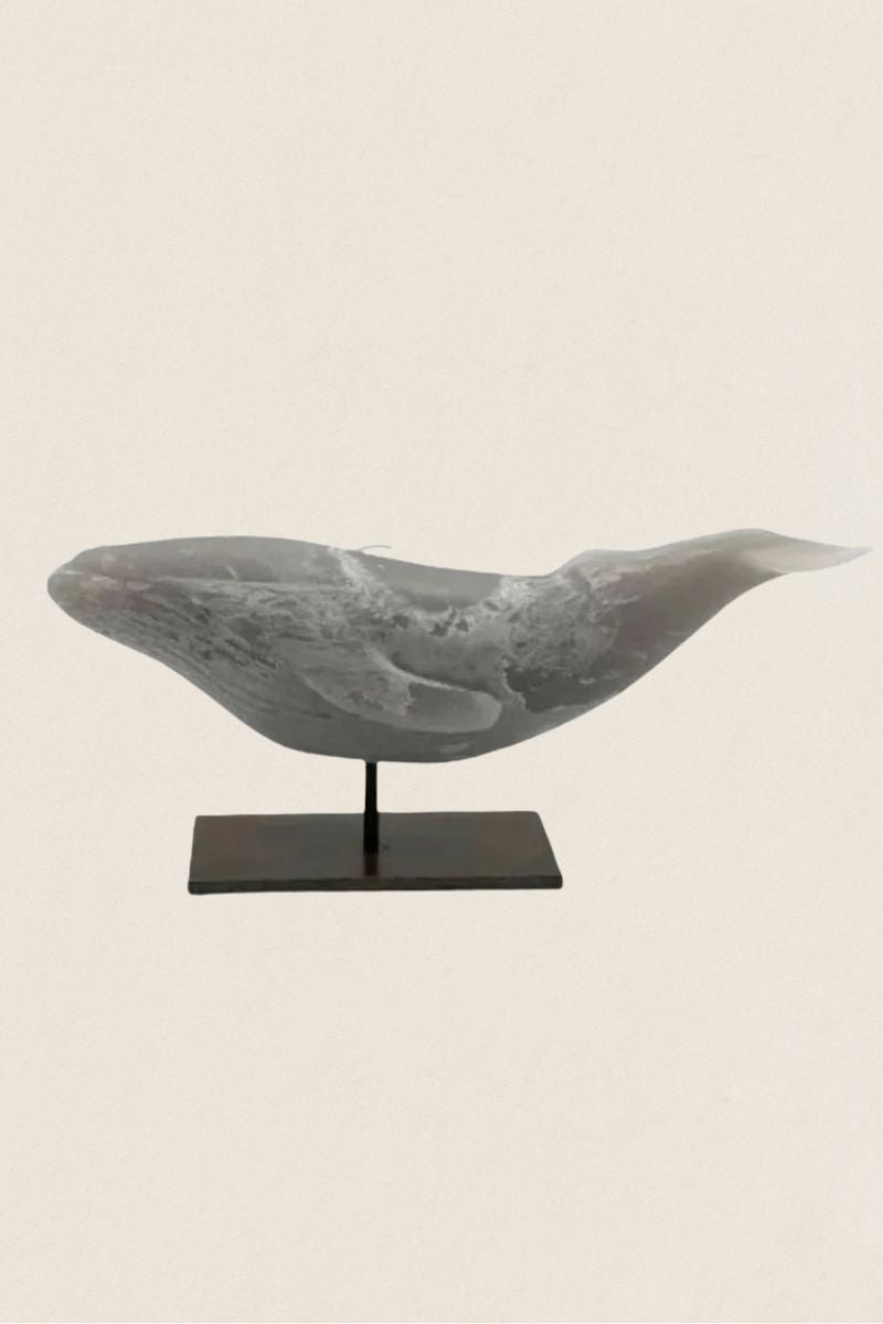 Vela Ballena - The Nook Store Home