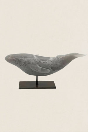 Vela Ballena - The Nook Store Home