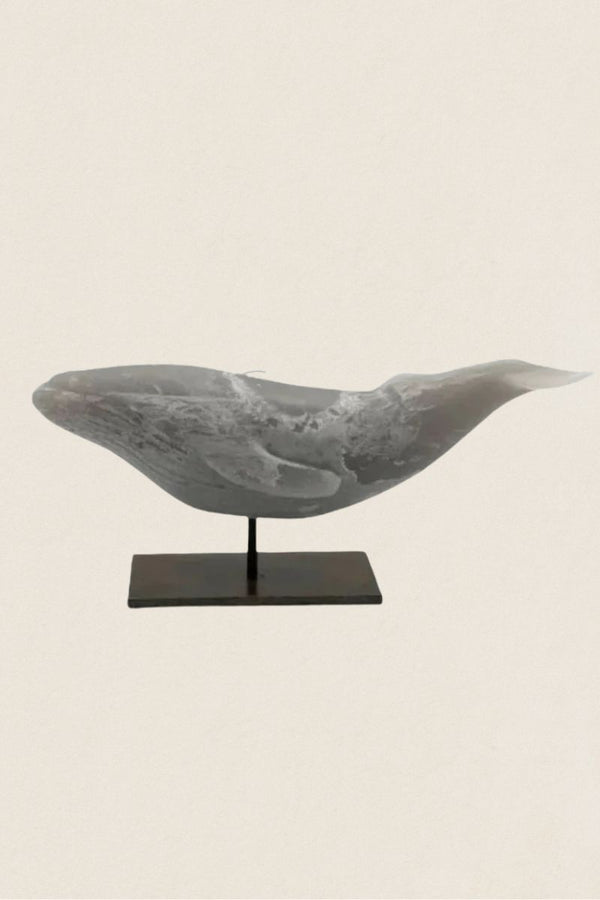 Vela Ballena - The Nook Store Home