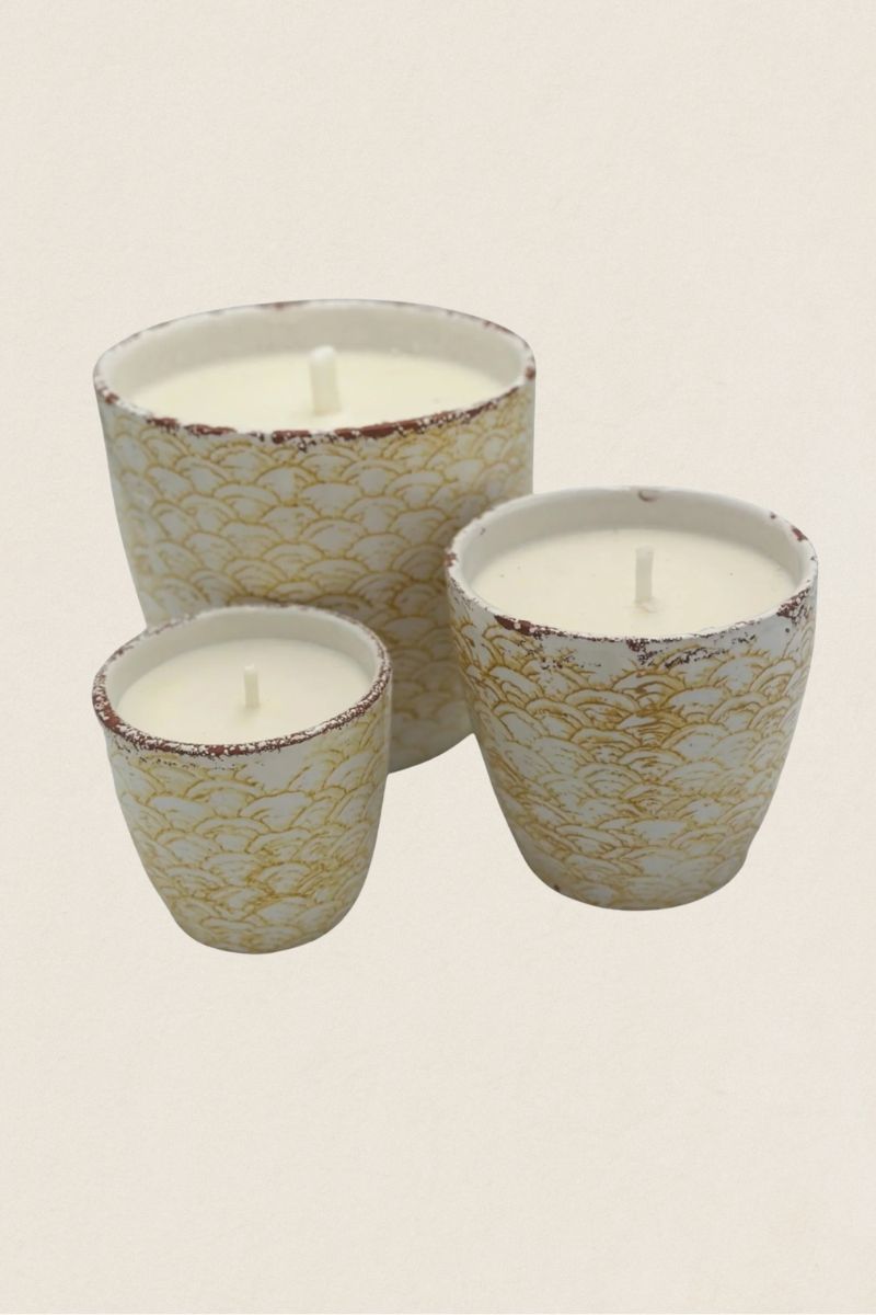 Vela garden citronella amarilla - The Nook Store Home