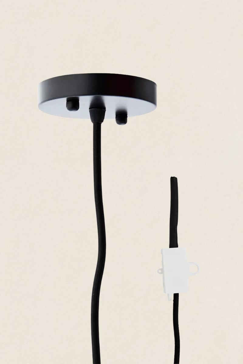 Raffia Ceilin Ceiling Lamp