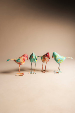 Pájaro Patas FIG23