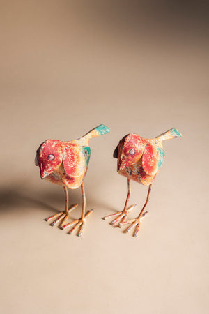 Pájaro Patas FIG23