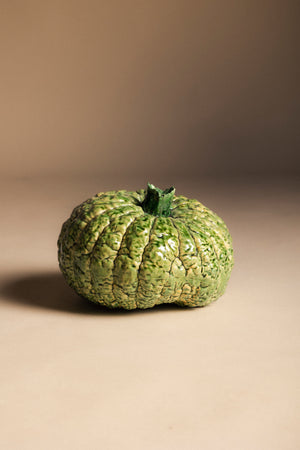 VERD Calabaza Verde Estriada