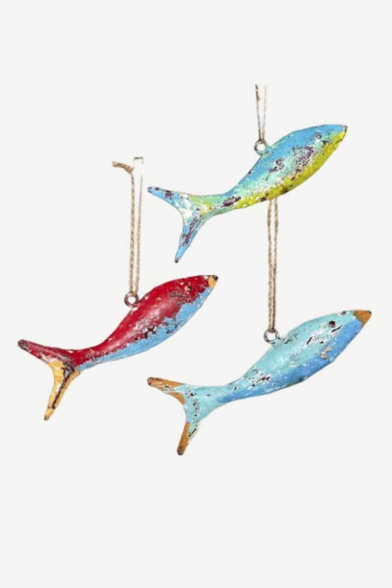 Sardine