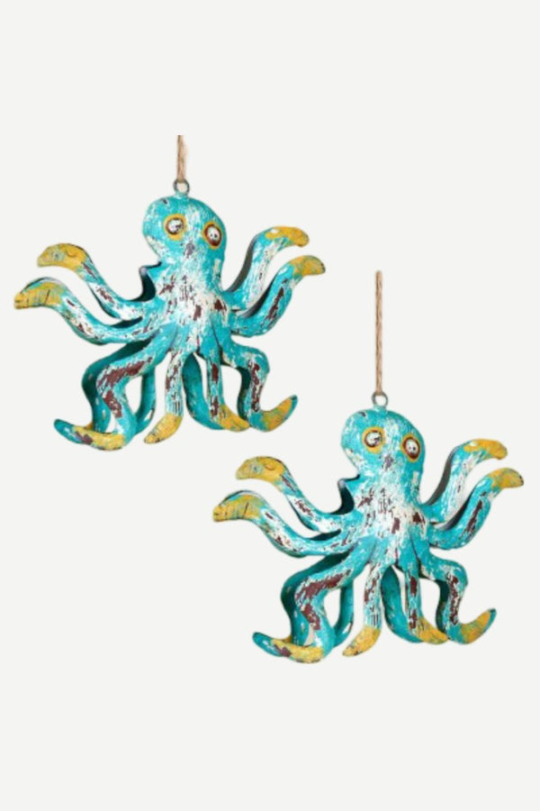 Octopus