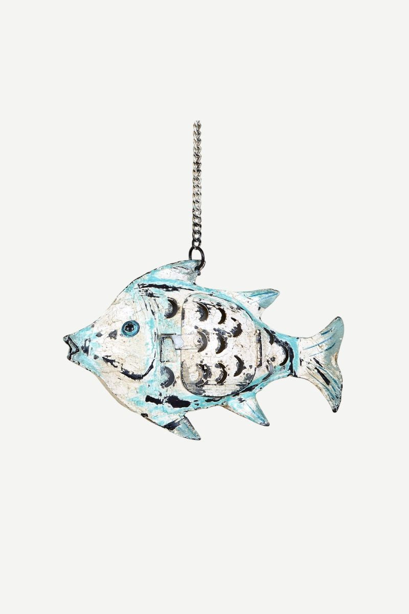 Turquoise Scale Fish