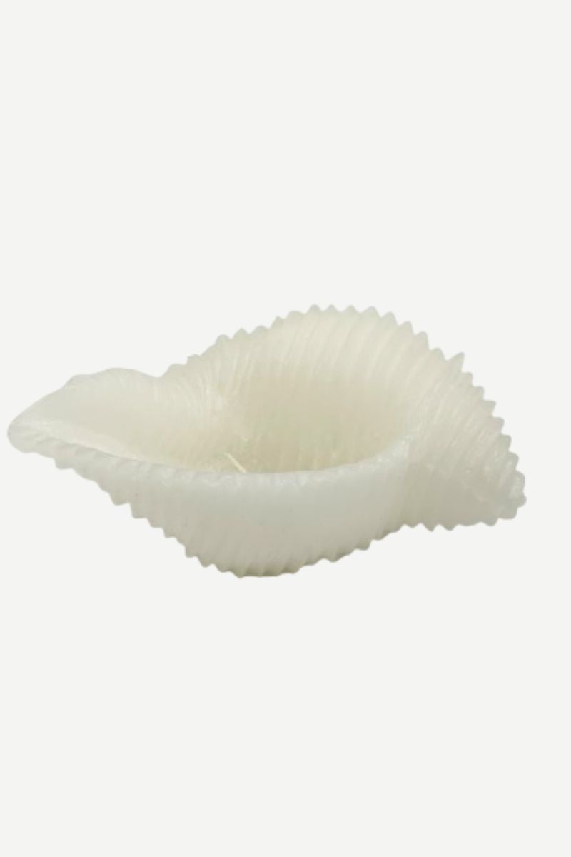 Vela Caracola Blanca
