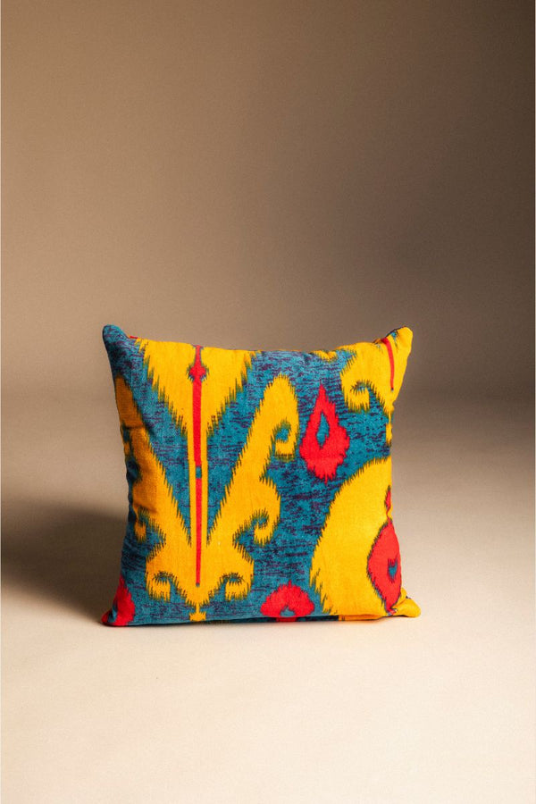 Cojín Terciopelo COJ10