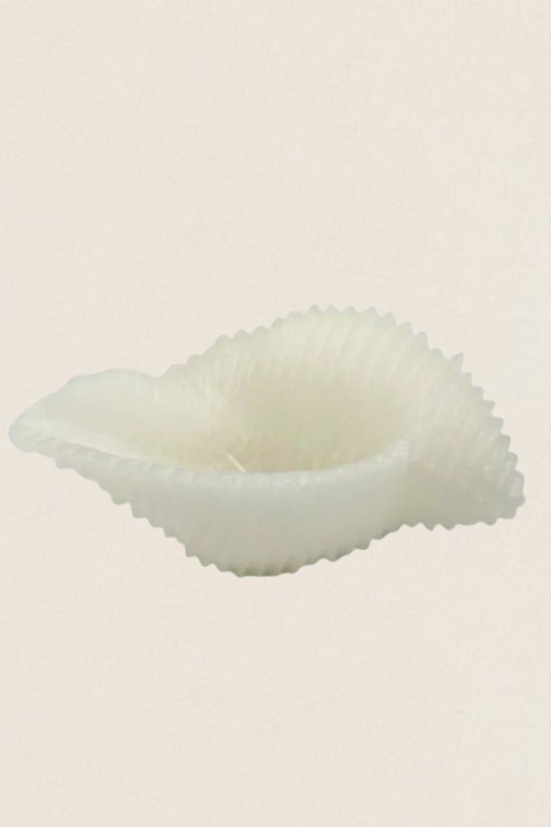 Bougie Bio Aqua Green