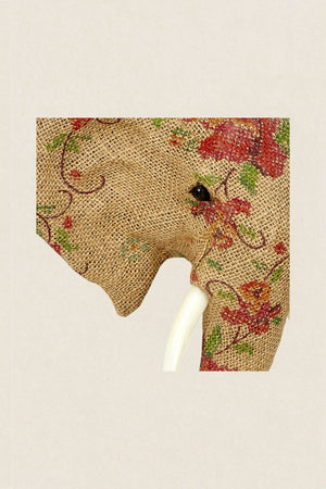 Wild fish cream metal