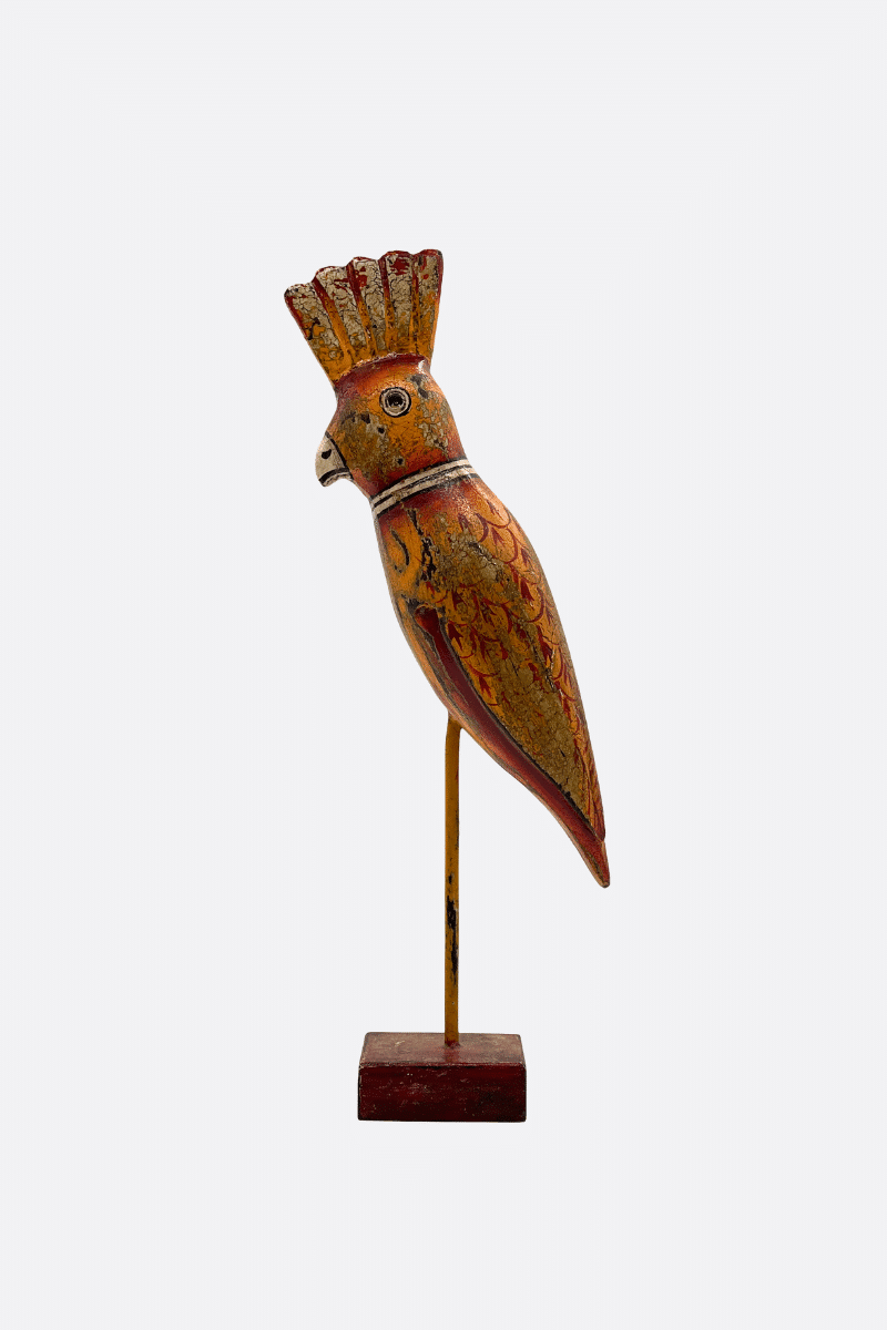 Red Wood Parrot