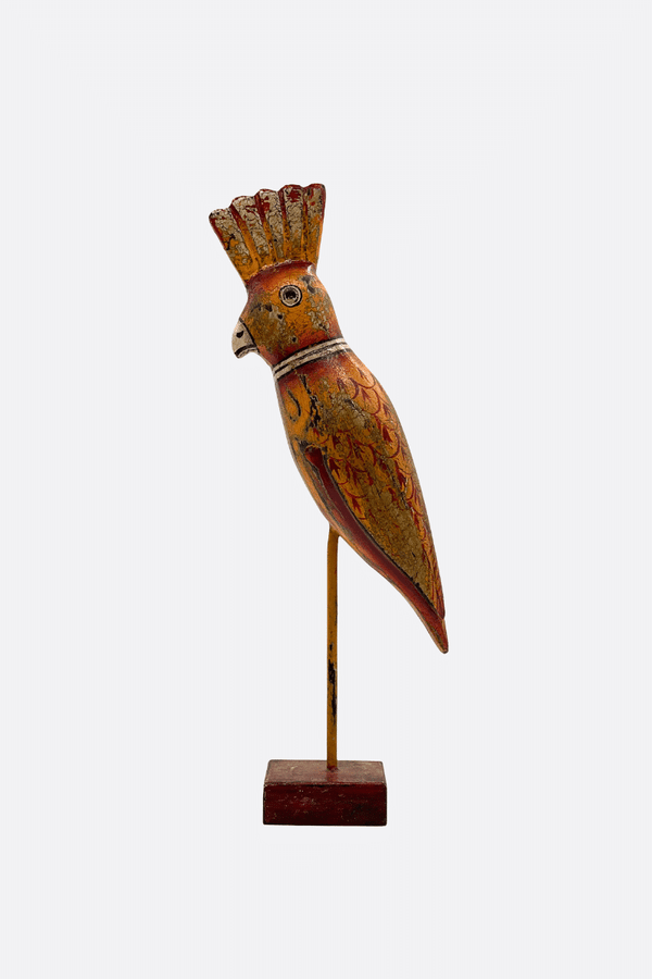 Red Wood Parrot