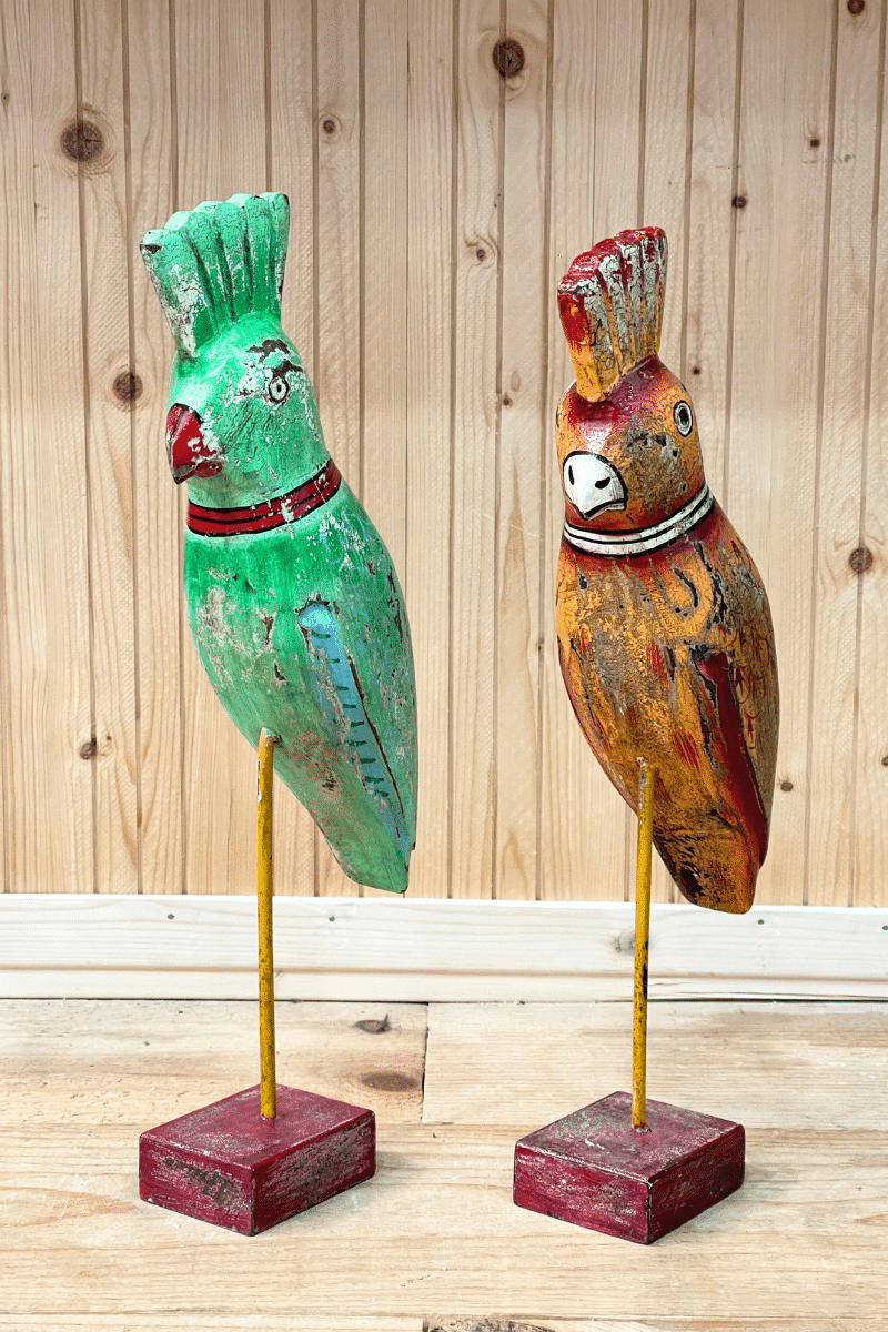 Red Wood Parrot